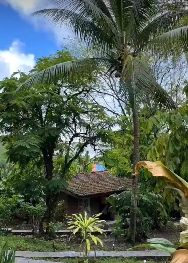 Pousada Coco Dende Boipeba Velha Boipeba エクステリア 写真